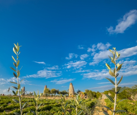 yoga & meditation zone