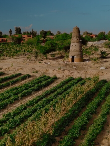 ba1fe60a fc0a 4963 98d3 1235001594b2